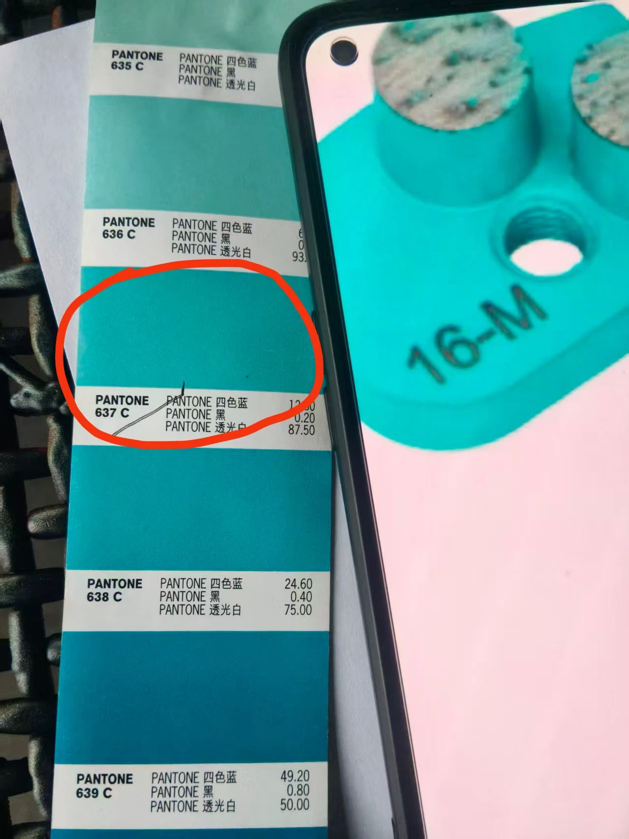 Segment color verified against Pantone reference